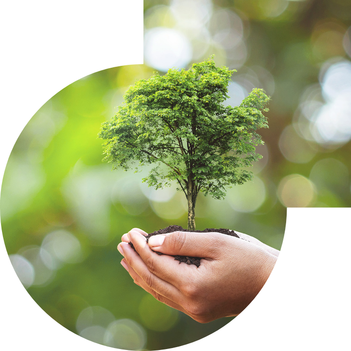 關懷人類、文化、環境與社會